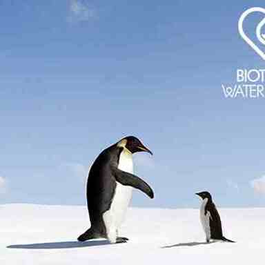 Water lovers de Biotherm: proteger al Pingüino Emperador