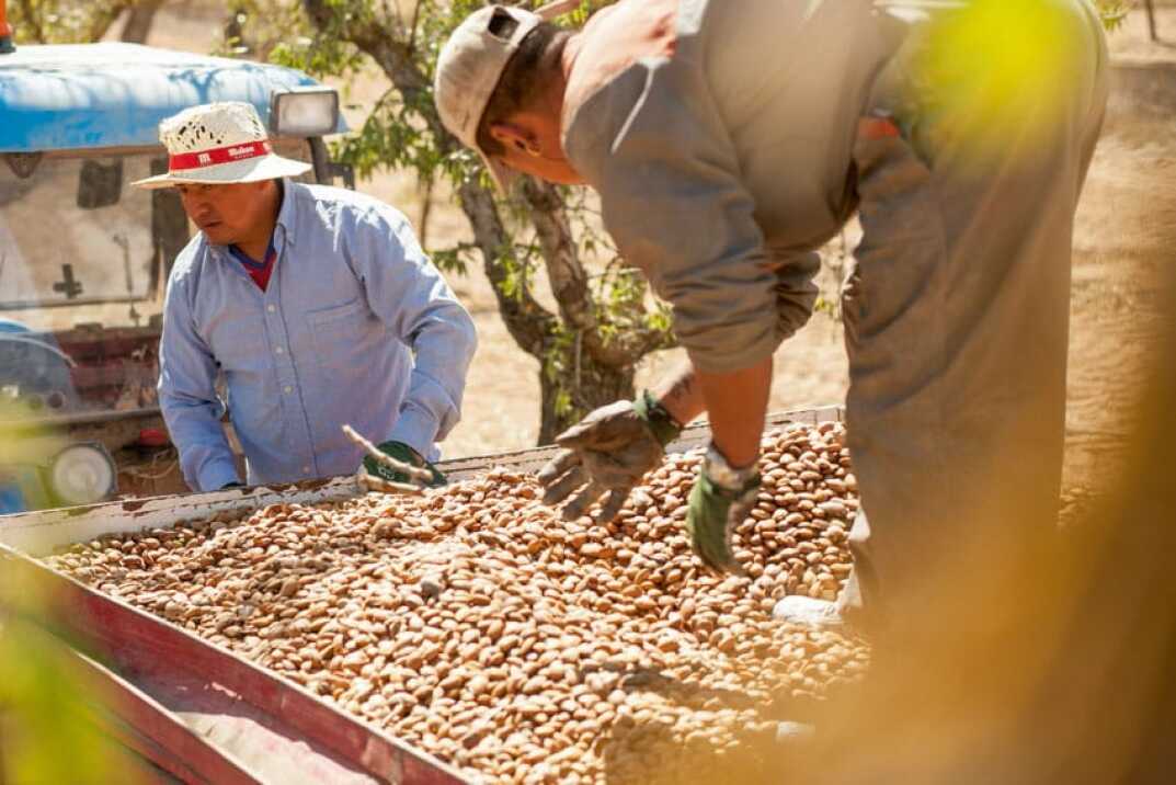 Cosmética natural Weleda: ecológica y sostenible