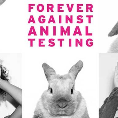 The 'Body Shop' y su lucha contra la crueldad animal