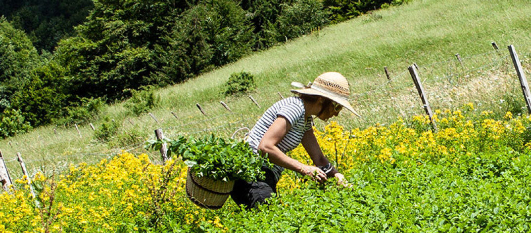 En el Día de la tierra, ejemplos y prácticas de belleza responsable