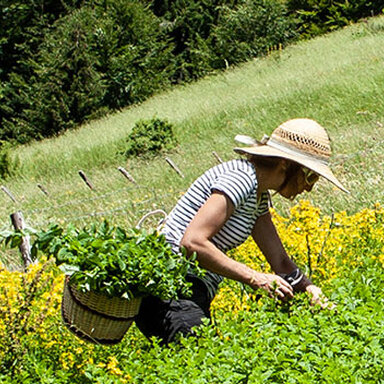 En el Día de la tierra, ejemplos y prácticas de belleza responsable