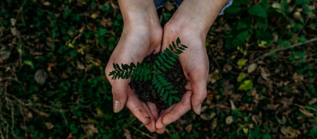 Día Mundial de la Tierra 2021, proyectos destinados a cuidarla