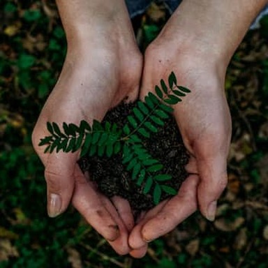 Día Mundial de la Tierra 2021, proyectos destinados a cuidarla