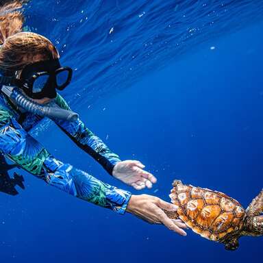 Laboratorios Phergal colabora con Oceánidas para limpiar los fondos marinos