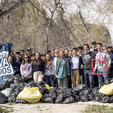 Proyecto Libera y reina Sofía