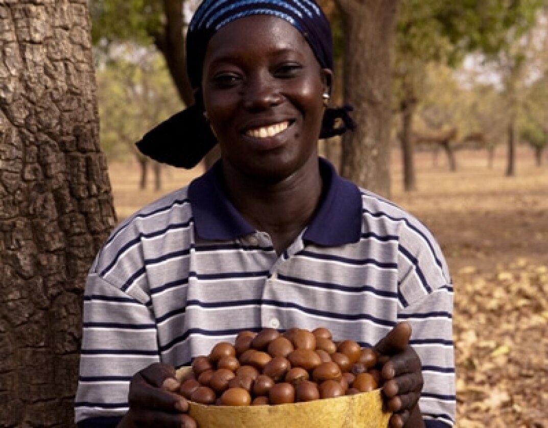 L'Occitane y el karité de Burkina Faso: Memorias de África