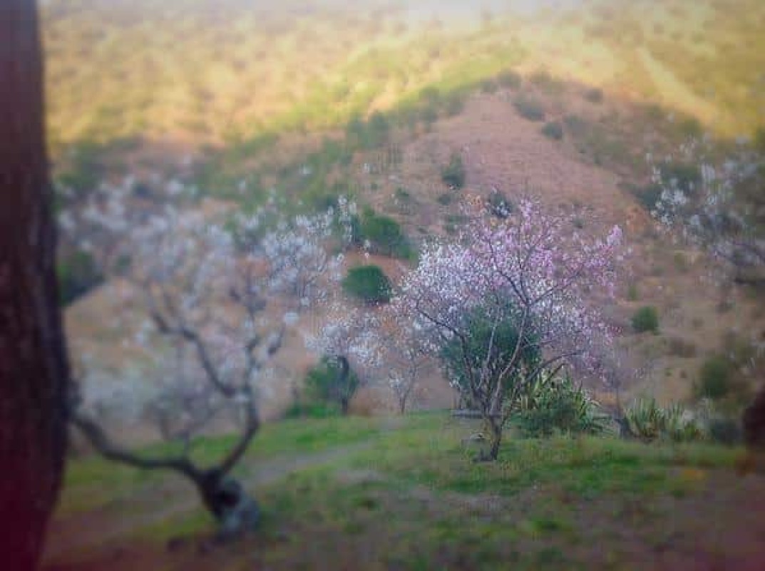 Nina Masardèvol Priorat, por amor a la tierra