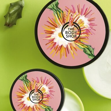 Cactus The Body Shop