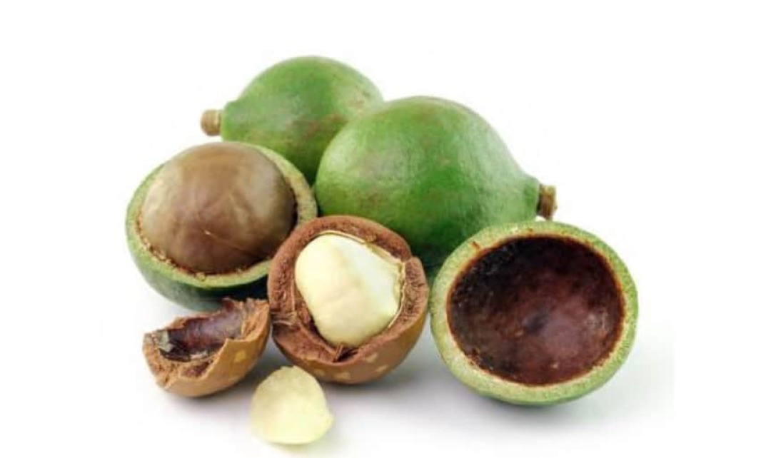 Tamanu Oil, aceite de belleza y recurso sostenible de Madagascar