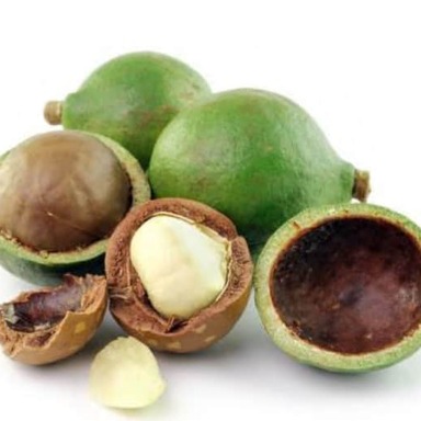 Tamanu Oil, aceite de belleza y recurso sostenible de Madagascar