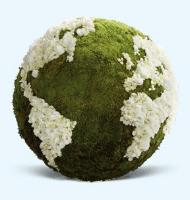 moss_Globe