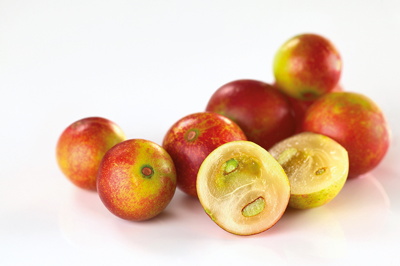 Fruto-camu-camu