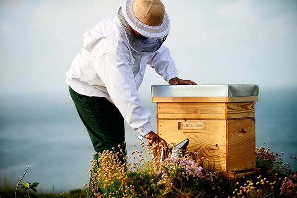 Abeja Negra Guerlain