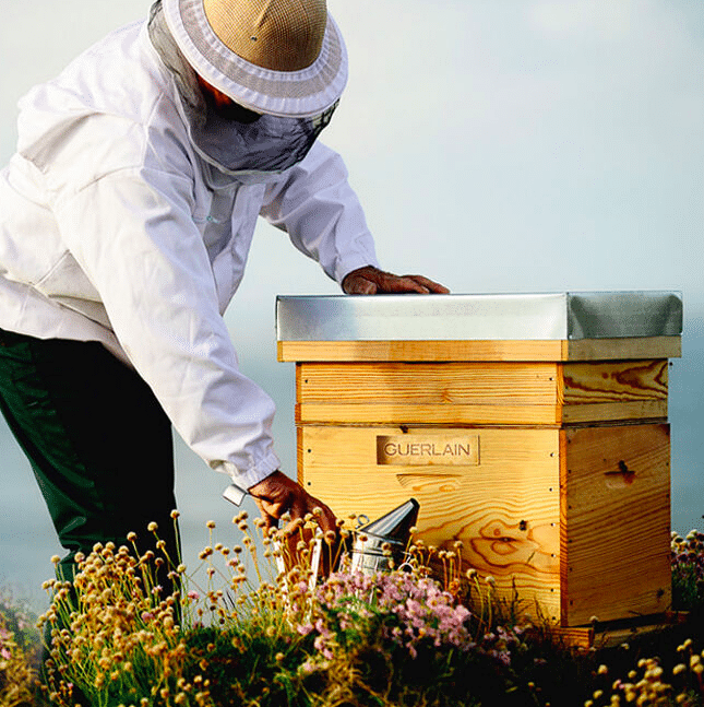 Abeille Royal de Guerlain