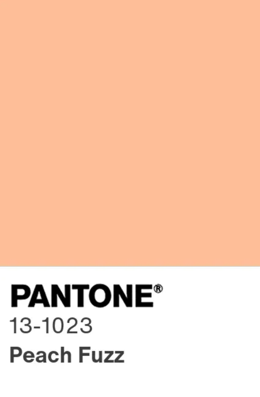 Pantone 2024