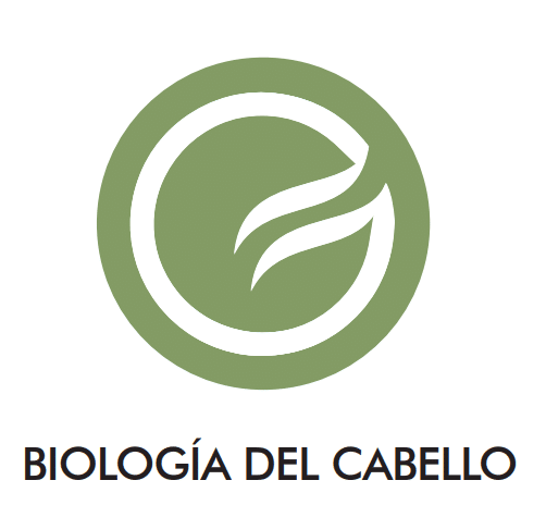 Clínica capilar Biología del Cabello